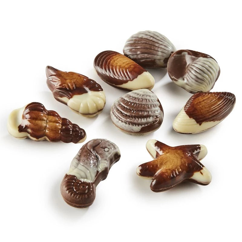 Fruits de Mer Fourrés au Praliné – Chocolats Belges Ickx