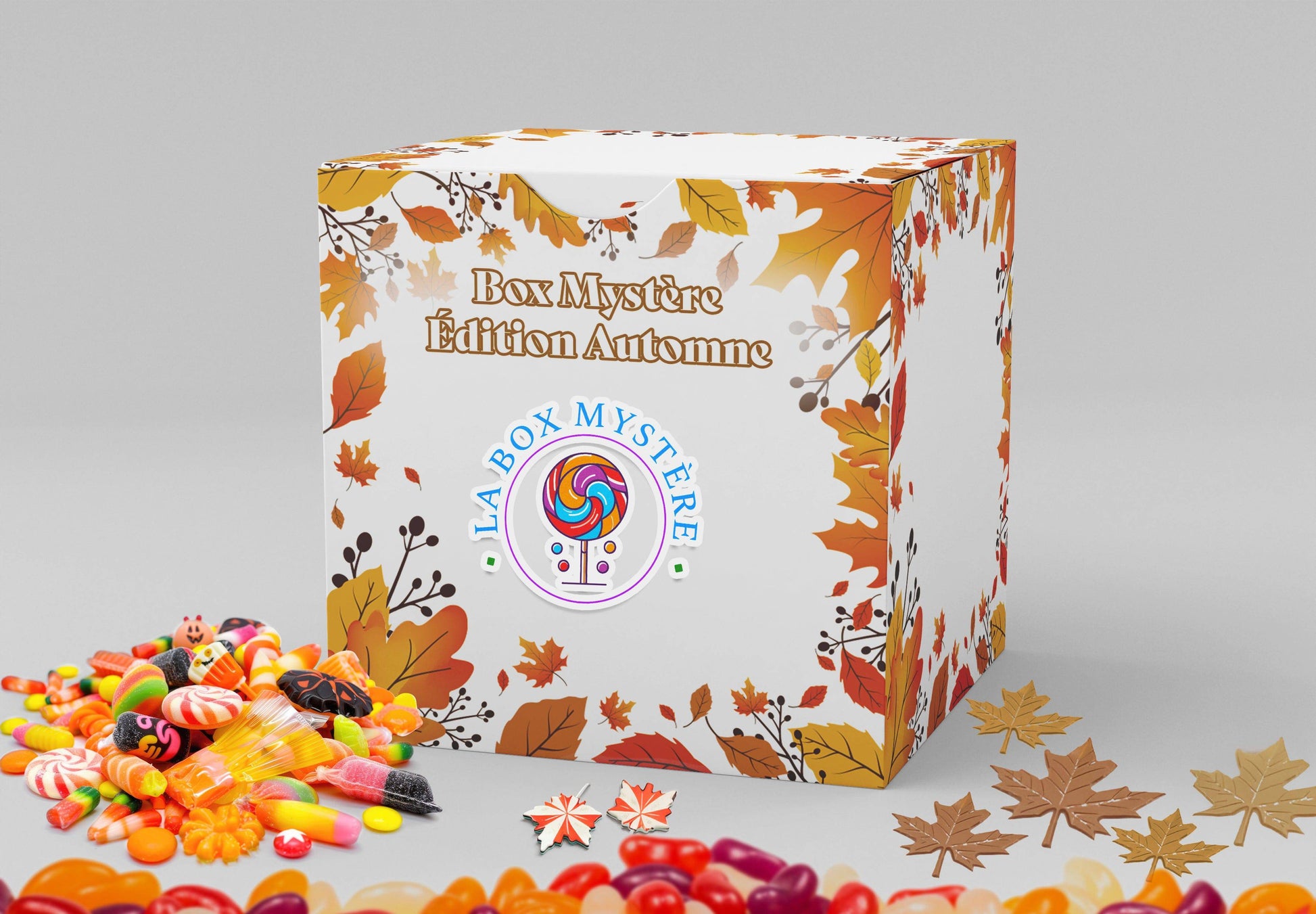 La Box Mystère des Douze Surprises