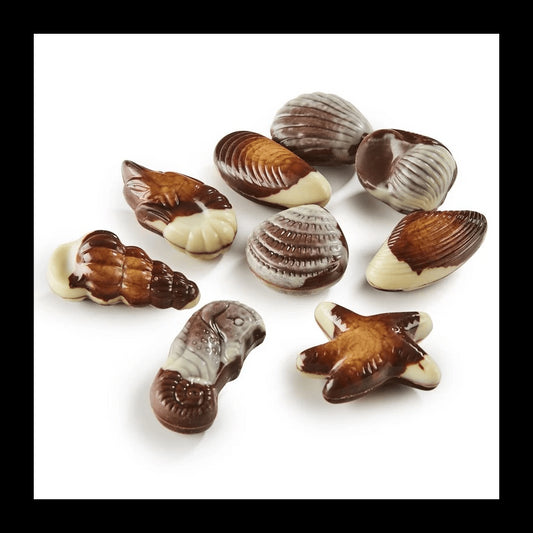 Fruits de Mer Chocolat et Praliné